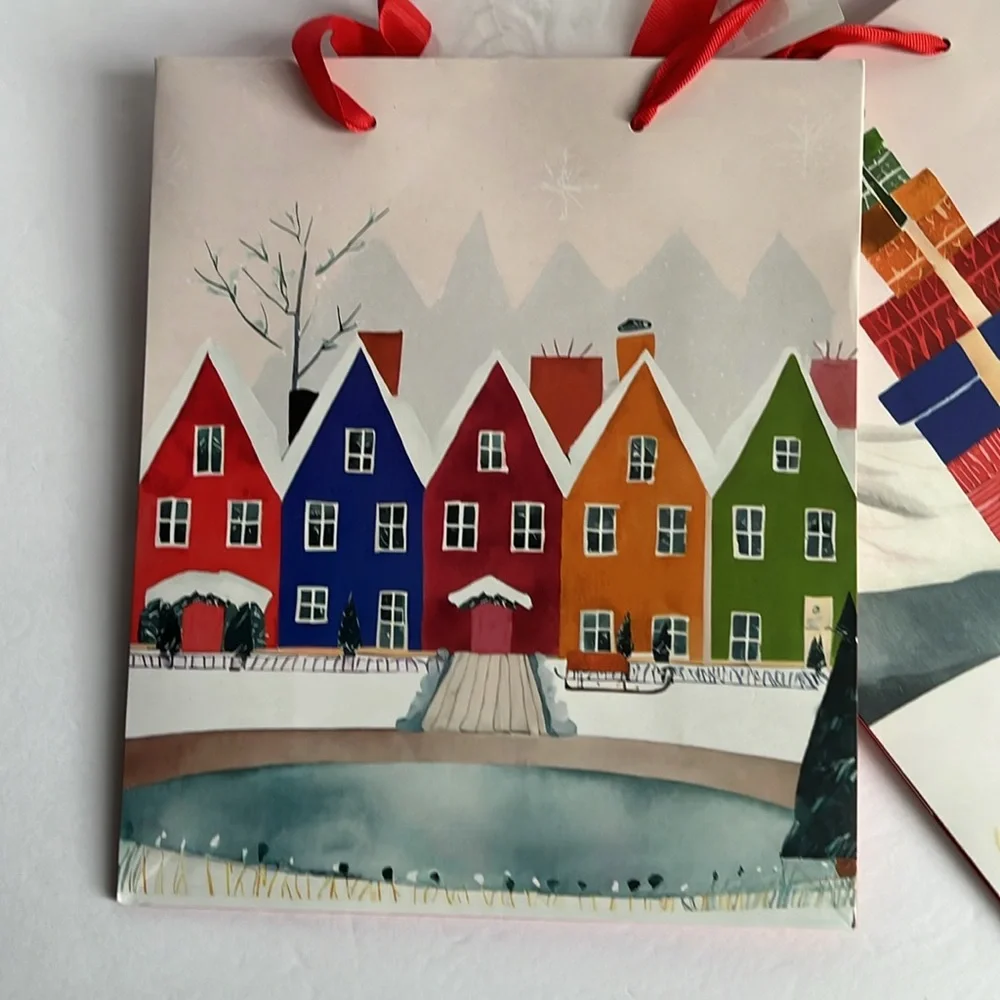 Gift Bags with Tissue and Tags 2 Gift Bags NWT